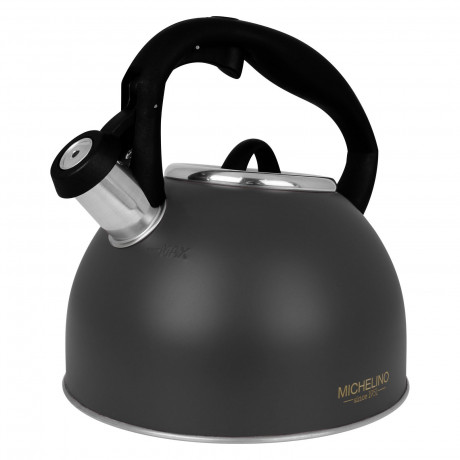 Michelino Wasserkessel Flotenkessel 2,5 Liter mit Farbwahl, Edelstahl, Wasserkocher Kessel Pfeifenkessel Teekocher Kaffeekessel Tee Kaffee Grau Чайник Michelino, чайник со свистком, 2,5 литра с выбором цвета, нержавеющая сталь, чайник, чайник со свистком,