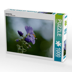 CALVENDO Puzzle CALVENDO Puzzle Jakobsleiter Пазл CALVENDO Пазл Лестница Иакова