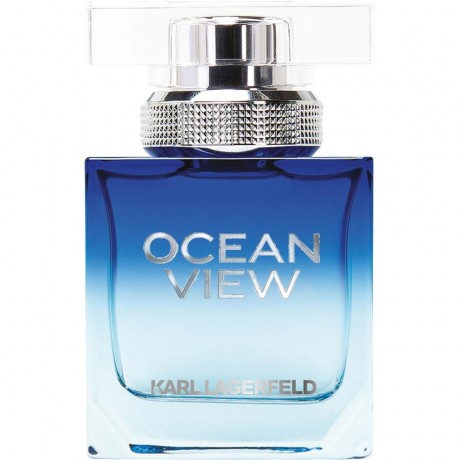 Karl Lagerfeld (Карл Лагерфельд) Ocean View pour Homme Eau de Toilette Туалетная вода Spray Спрей, 30 мл