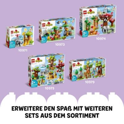 LEGO LEGO DUPLO 10972 Wilde Tiere des Ozeans LEGO DUPLO 10972 Дикие животные океана