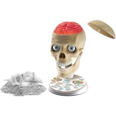 Clementoni Verruckte Anatomie Сумасшедшая анатомия