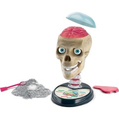 Clementoni Verruckte Anatomie Сумасшедшая анатомия