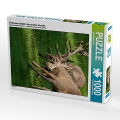 CALVENDO Puzzle CALVENDO Puzzle Verbissen kampfen die starken Hirsche. Пазл CALVENDO Puzzle Сильный олень упорно сражается.