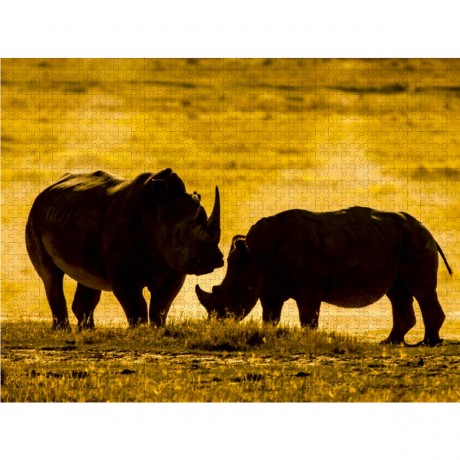 CALVENDO Puzzle CALVENDO Puzzle Kampfende Nashorner Пазл CALVENDO Puzzle Боевые носороги