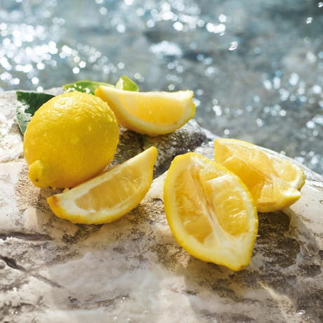 Dolce&Gabbana  Light Blue Pour Homme Summer Vibes  Light Blue Pour Homme Summer Vibes