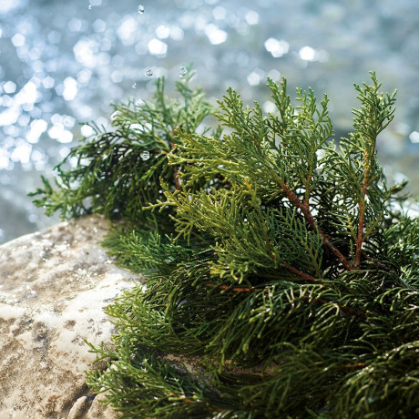 Dolce&Gabbana  Light Blue Pour Homme Summer Vibes  Light Blue Pour Homme Summer Vibes