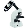 Bresser Junior 40-640x Mikroskop mit smartem Experimentier-Set mit QR-Code fur Zusatzinfos Микроскоп 40-640x с интеллектуальным набором для экспериментов с QR-кодом для получения дополнительной информации