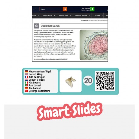 Bresser Junior 40-640x Mikroskop mit smartem Experimentier-Set mit QR-Code fur Zusatzinfos Микроскоп 40-640x с интеллектуальным набором для экспериментов с QR-кодом для получения дополнительной информации