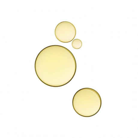 Payot Herbier Huile de Beaute Bio Herbier Huile de Beaute Bio