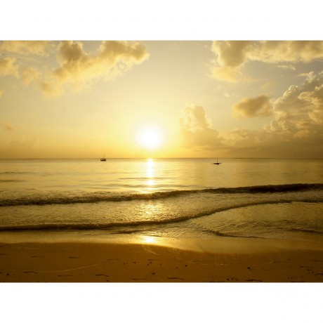 CALVENDO Puzzle CALVENDO Puzzle Goldener Morgen....Lichtstimmung Пазл CALVENDO Puzzle Золотое утро....Светлое настроение