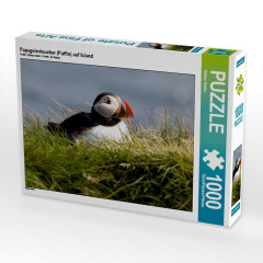 CALVENDO Puzzle CALVENDO Puzzle Papageientaucher (Puffin) auf Island Пазл CALVENDO Пазл Тупик на Исландии