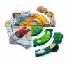 PLANTOYS Lernspiel Wetter-Outfit Lernspiele развивающие игры погодные наряды развивающие игры