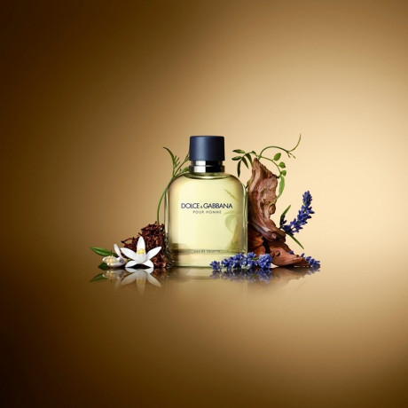 Dolce&Gabbana  Pour Homme  Pour Homme