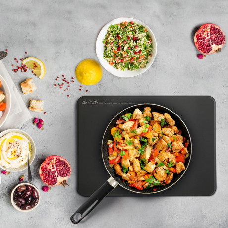 BRUNNER BRUNNER Gaskocher Camping Kochfeld HotPoint Double, Induktions Elektro Grill Herd Glas 2kW  Газовая плита BRUNNER, походная плита HotPoint Double, индукционная электрическая плита-гриль, стекло, 2 кВт