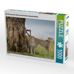 CALVENDO Puzzle CALVENDO Puzzle Ein Herz und eine Seele sind die beiden Gepardenbruder. Пазл CALVENDO Puzzle У двух братьев-гепардов одно сердце и одна душа.