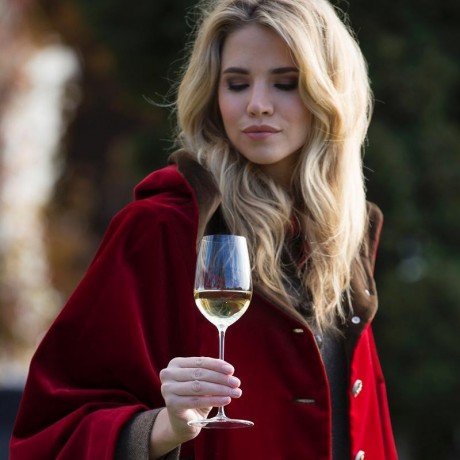 Riedel Riedel Superleggero Riesling / Zinfandel Glas Бокал Riedel Superleggero Рислинг / Зинфандель