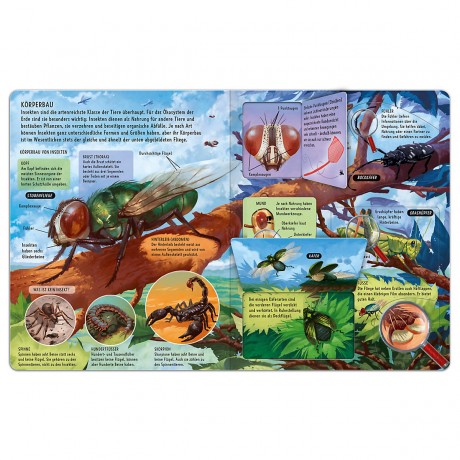 h.f.ullmann Verlag Mein grosses Klappenbuch Моя большая книжка-раскладушка