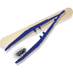 SES Creative Insektenforscher исследователь насекомых