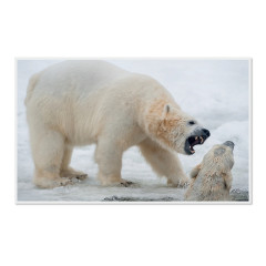 CALVENDO Puzzle CALVENDO Puzzle Emotionale Momente: Der Eisbar. \/ CH-Version Пазл CALVENDO Пазл Эмоциональные моменты: ледяной бар. \/ версия CH