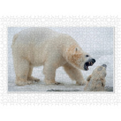 CALVENDO Puzzle CALVENDO Puzzle Emotionale Momente: Der Eisbar. \/ CH-Version Пазл CALVENDO Пазл Эмоциональные моменты: ледяной бар. \/ версия CH