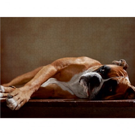 CALVENDO Puzzle CALVENDO Puzzle Maja Пазл CALVENDO Пазл Maya