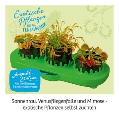 Kosmos Fleischfressende Pflanzen плотоядные растения