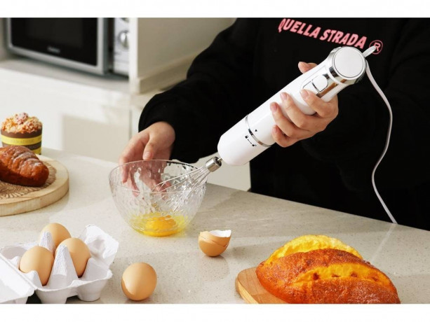 SWISS PRO+ SWISS PRO+ Stabmixer Swiss Pro+ 3-in-1 Stabmixer mit abnehmbarem Edelstahl Mixfuss 700W, 700 W  Ручной блендер SWISS PRO+ Ручной блендер Swiss Pro+ 3-в-1 со съемной ножкой из нержавеющей стали 700 Вт, 700 Вт