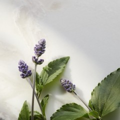 Rituals Trial Set  пробный набор