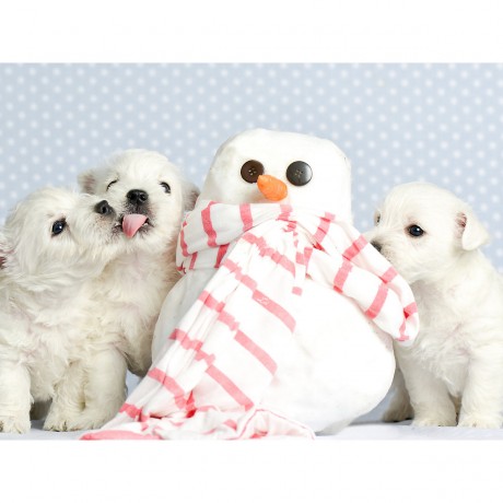 CALVENDO Puzzle CALVENDO Puzzle Endlich Schnee! Пазл CALVENDO Puzzle Наконец-то снег!