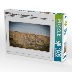 CALVENDO Puzzle CALVENDO Puzzle Emotionale Momente: Grosse Raubkatzen der Welt. Пазл CALVENDO Пазл Эмоциональные моменты: Большие хищники в мире.