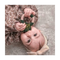 nibbling Beissringe  Super Food Kohl Прорезыватели Супер Фуд Капуста