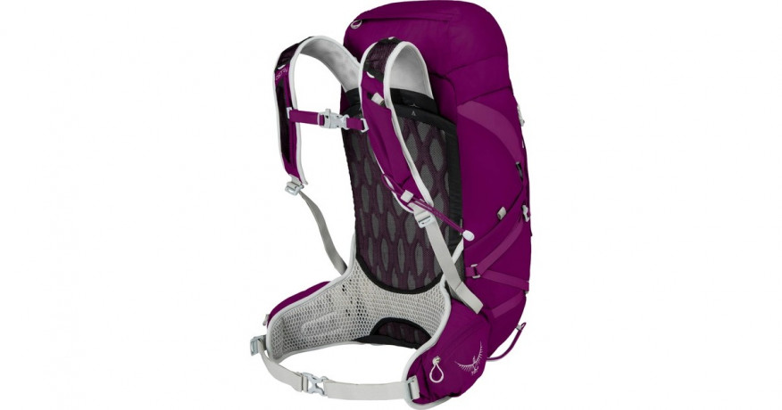 Osprey Osprey Tempest 30, Rucksack violett, 28 Liter Grosse XS/S  violett Osprey Tempest 30, рюкзак фиолетовый, размер XS/S 28 литров