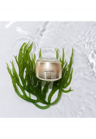 Shiseido BENEFIANCE WRINKLE SMOOTHING Augenpflege - BENEFIANCE РАЗГЛАЖИВАНИЕ МОРЩИН уход за глазами