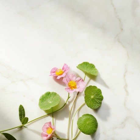 Rituals Ageless Firming Day Cream Refill Укрепляющий дневной крем Ageless Refill