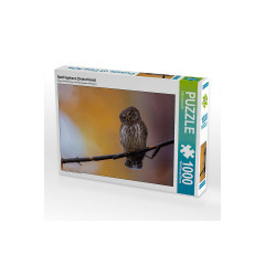 CALVENDO Puzzle CALVENDO Puzzle Sperlingskauz (Deutschland) Пазл CALVENDO Puzzle Pygmy Owl (Германия)