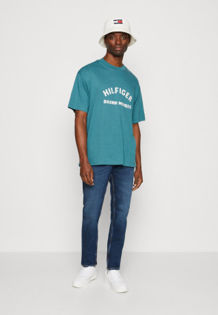 Tommy Hilfiger TOMMY HILFIGER X SHAWN MENDES ARCHIVE TEE UNISEX Print T-shirt frosted green ФУТБОЛКА TOMMY HILFIGER X SHAWN MENDES ARCHIVE UNISEX Футболка с принтом матовый зеленый