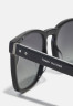 Tommy Hilfiger Sunglasses black Солнечные очки черный