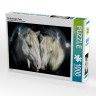 CALVENDO Puzzle CALVENDO Puzzle Die Camargue Paare Пазл CALVENDO Puzzle Парочки Камарга