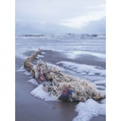 CALVENDO Puzzle CALVENDO Puzzle Strandgut Пазл CALVENDO головоломка обломки