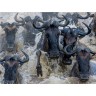CALVENDO Puzzle CALVENDO Puzzle Emotional Moments: African Wildlife Пазл CALVENDO Puzzle Emotional Moments: Дикая природа Африки