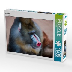 CALVENDO Puzzle CALVENDO Puzzle Mandrill Пазл CALVENDO Пазл Mandrill