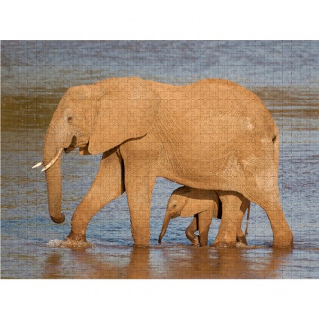 CALVENDO Puzzle CALVENDO Puzzle Emotionale Momente: Aus dem Leben der Elefanten. \/ CH-Version Пазл CALVENDO Пазл Эмоциональные моменты: из жизни слонов. \/ версия CH