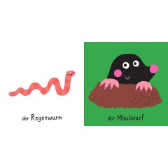 Sauerlander Verlag Klein und kunterbunt: Alle meine Tiere Маленькие и красочные: все мои животные