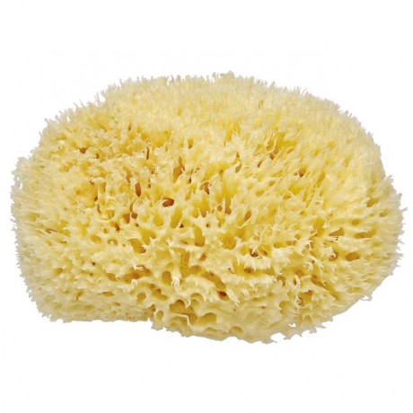 for your Beauty Natur Badeschwamm Натуральная губка для ванной для стимуляции кровообращения 1 шт.
