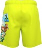 LEGO LEGO Jurassic World Badeshorts fur Jungen Плавки для мальчиков LEGO Jurassic World