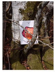 Dr. Hauschka Adventskalender Адвент-календарь 2025, 24 бьюти средства Адвент-календарь натуральной косметики