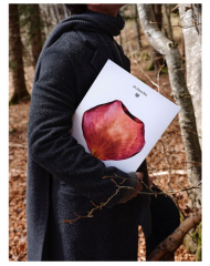 Dr. Hauschka Adventskalender Адвент-календарь 2025, 24 бьюти средства Адвент-календарь натуральной косметики