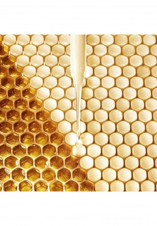 GUERLAIN GUERLAIN ABEILLE ROYALE FORTIFYING LOTION Gesichtswasser transparent GUERLAIN ABEILLE ROYALE FORTIFYING LOTION тоник для лица