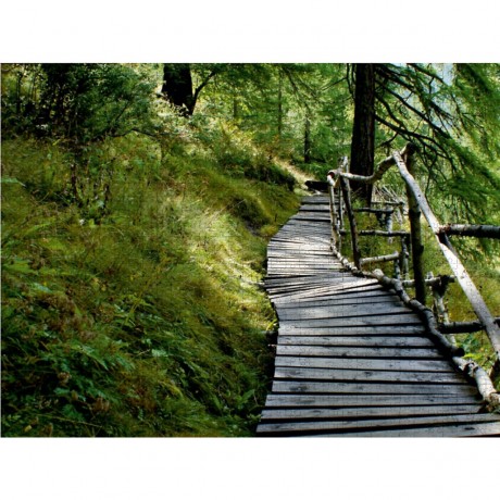 CALVENDO Puzzle CALVENDO Puzzle Suonenweg Saas Almagell Пазл CALVENDO Puzzle Suonenweg Saas Almagell