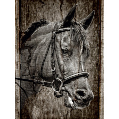 CALVENDO Puzzle CALVENDO Puzzle Antic Pferdemalerei Пазл CALVENDO Puzzle Старинная лошадь картина